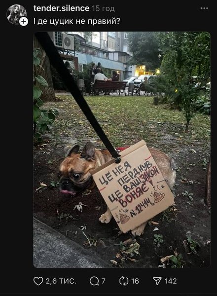 плакат на собаке