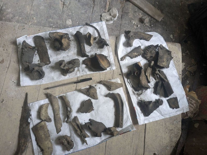 Камін, знахідка, кістки
