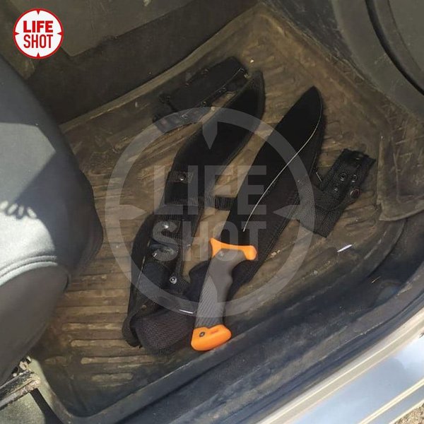 россия, школа, пермь, нападение, школьник