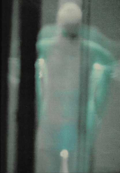 Мужчина думает, что сфотографировал инопланетянина, снимки пришельцев, НЛО, внеземные существа, снимки профессора,