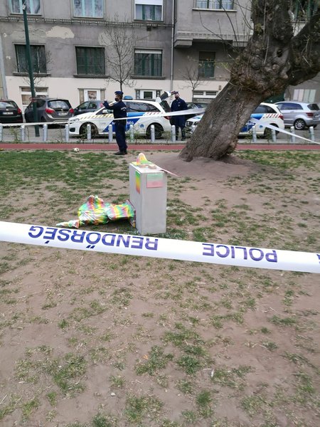 знесення, руйнування, статуя, BLM, Будапешт, фото