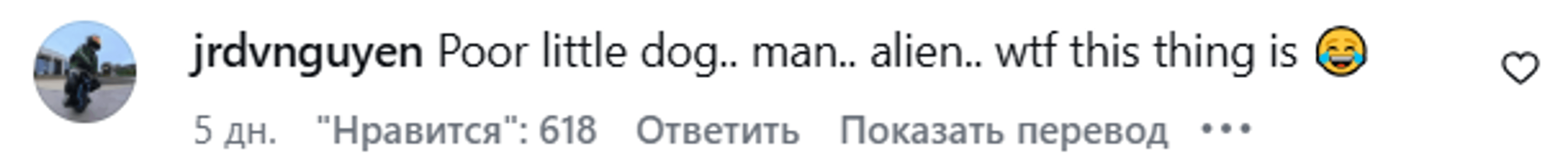 Реакция сети на собачку Макса