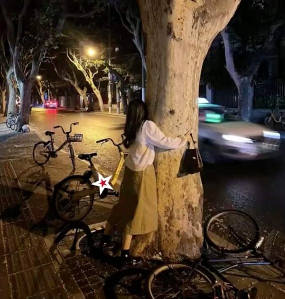 Женщина обнимает дерево, секрет обнимания деревьев, снимает стресс, успокаивает, дерево, улица, объятия, растение