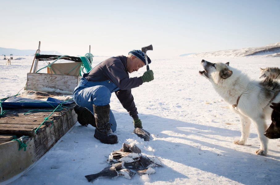Трамп хочет купить Гренландию, самый большой остров в мире, чем важна Гренландия, Гренландия под контролем США, кому принадлежит Гренландия, Гренландия запасы воды, Гренландия ресурсы, Гренландия инииты, Гренландия НАТО, Гренландия военные базы