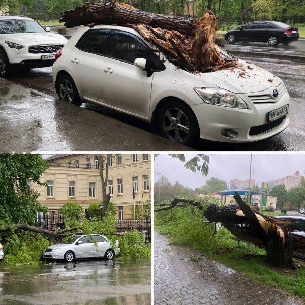 одеса, автомобілі