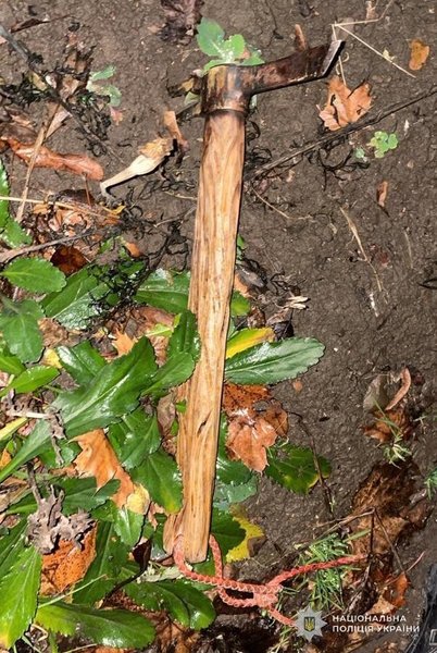 Українець використав сокиру-молоток для нападу на військового ТЦК