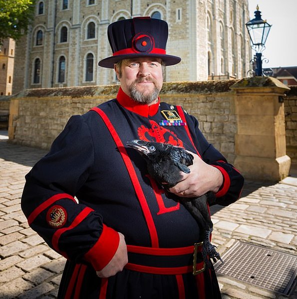 Смотритель воронов с Мерлиной