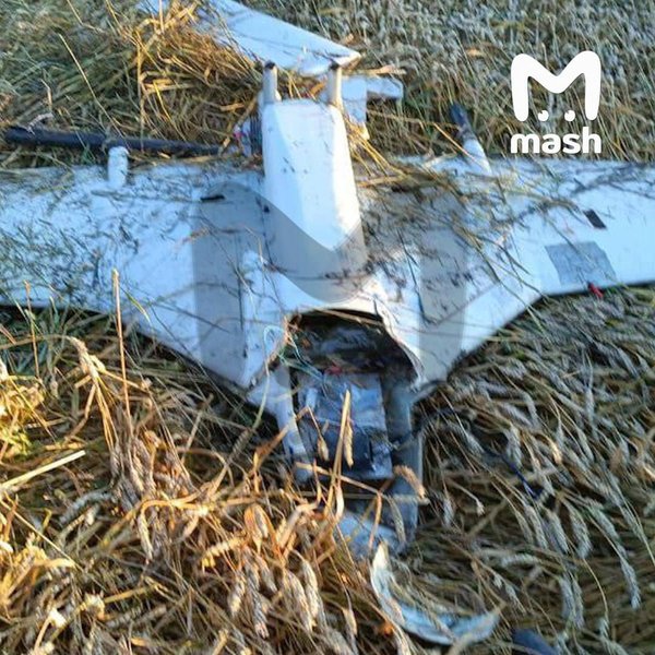 У Курській області впав БПЛА, який посадили силами РЕБ