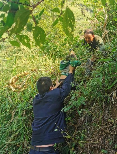Обезьяна похитила ребенка