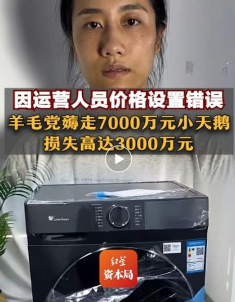 Ошибка в цене, скандал, банкротство, компания Little Swan Dongshan, Китай, промах работников