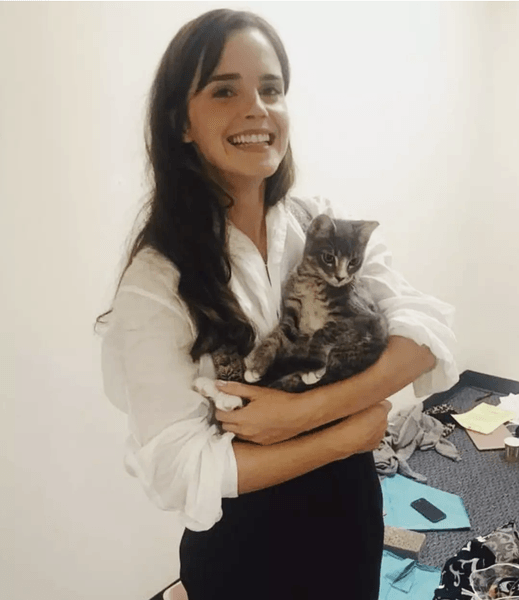 Улыбающаяся Эмма Уотсон держит серого котенка в белой рубашке