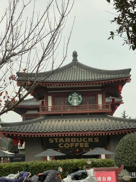 Юрий Луценко, Китай, Ирина Луценко