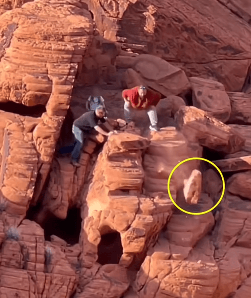 В США вандалы сбрасывают камни со скалы, вандалы, двое мужчин, разрушают скалы, сбрасывают камни, парк, расследование,