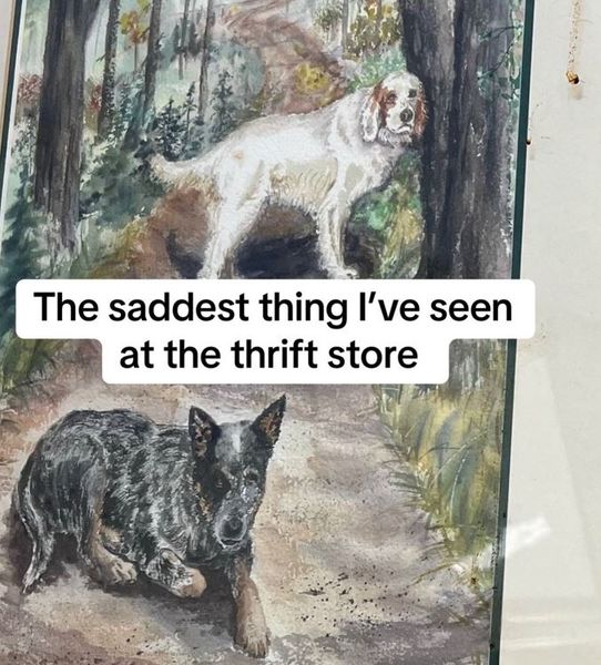 Находка на секонд-хенде, интересные вещи, покупки, раритет, памятная доска, фото, интересности, истории из жизни