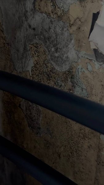 плесень, стена, больница, одесская психбольница