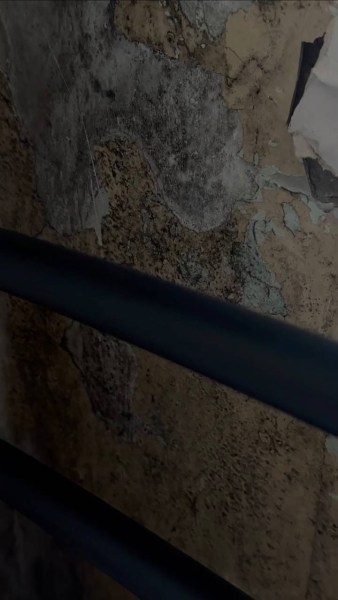 стена пліснява, стіна, лікарня, одеська психлікарня