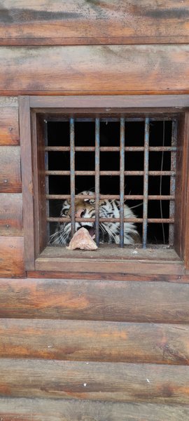 Фельдман Екопарк, екопарк харків, екопарк фельдмана, зоопарк фельдмана, фельдман, евакуація тварин