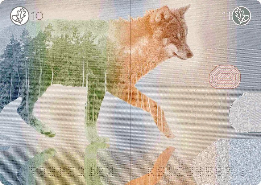 Эстония, паспорт, дизайн, ID-карточка, звери