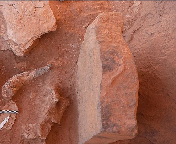 мустатилы, раскопки, Саудовская Аравия