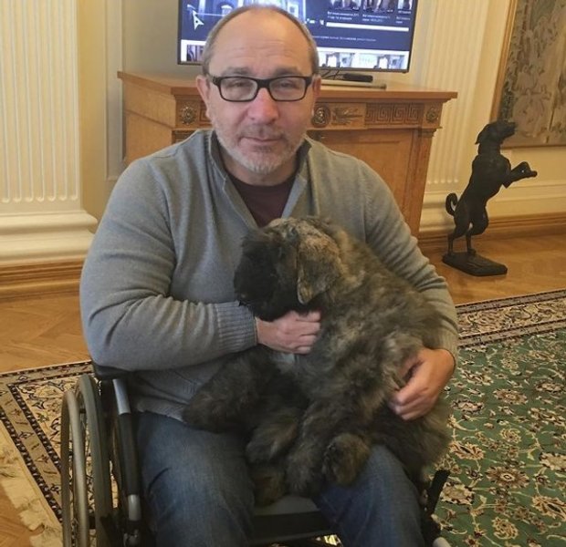 собаки, Геннадий Кернес