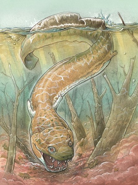 стародавня саламандра озеро