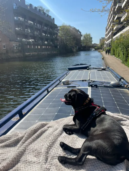 Аренда жилья, недвижимость, жизнь на лодке, Великобритания, экономия, 29-летняя Шеннон Лейн, TikTok, путешествия, 29-летняя Шеннон Лейн