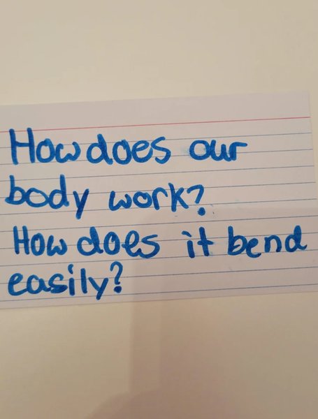 Учительница показала забавные вопросы учеников, которые сильно удивили ее