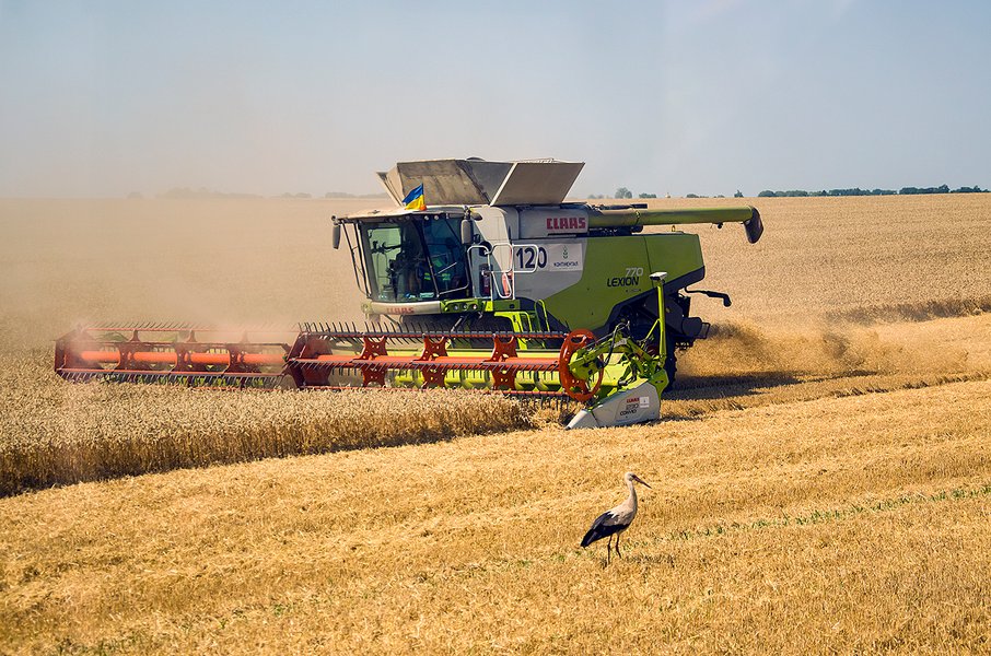 комбайн, пшеница, урожай