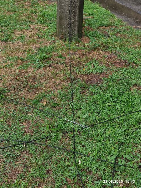 ураган, Полтавская обл, последствия урагана