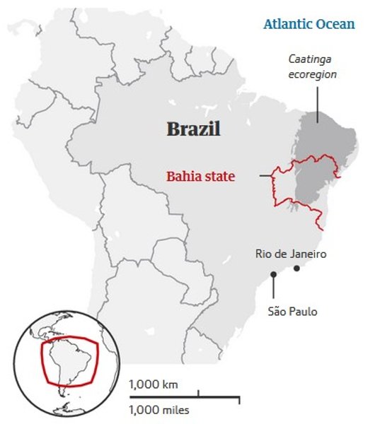 голубые ара, Бразилия, место обитания, карта