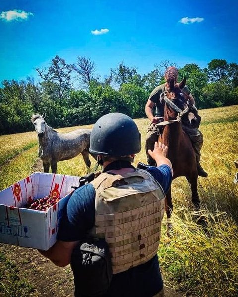 Конеферма обстрел выжившие кони животные тероборона бойцы