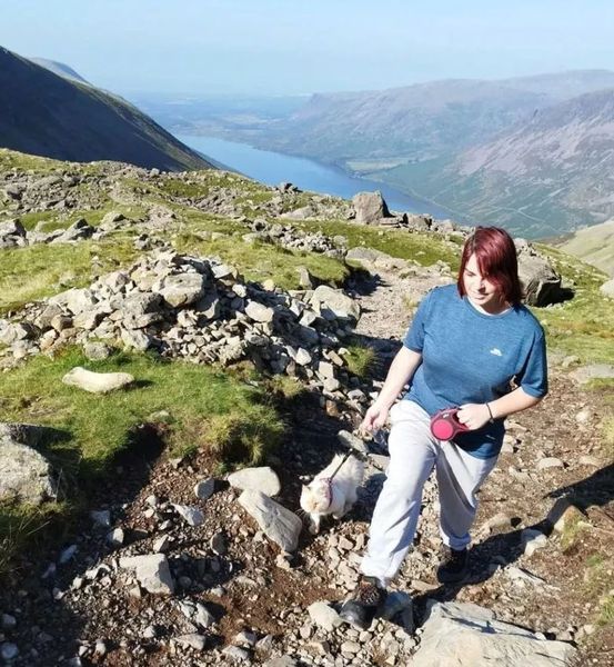 Домашній кіт підкорив три вершини, рекорд, походи в гори, досягнення, туризм, подорожі