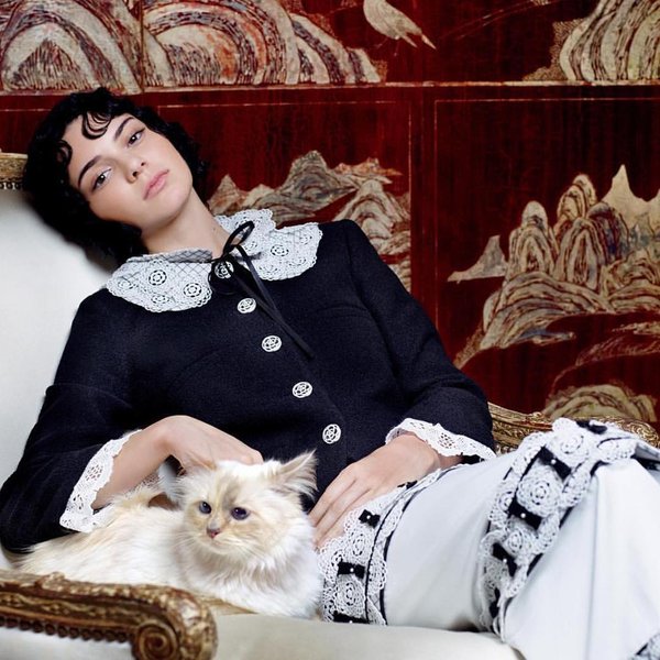 Кендалл Дженнер, шупетт