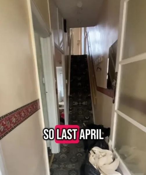 Пара купила худший дом на улице, как их дом изменился за последний год, смешные истории