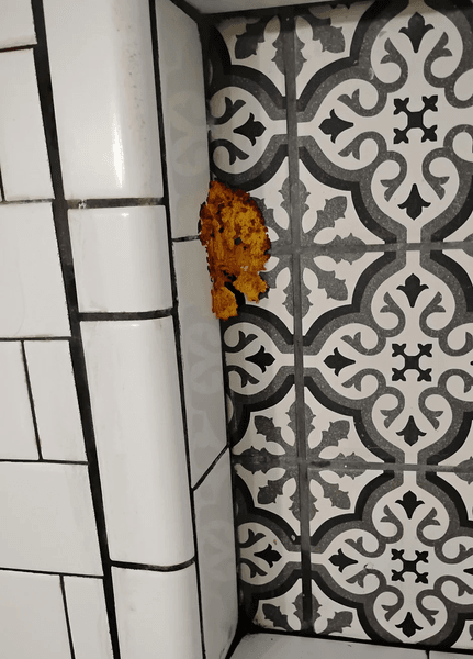 Мужчина вернулся с отпуска и увидел загадочный "гриб" на стене внутри дома, который появился из-за влаги