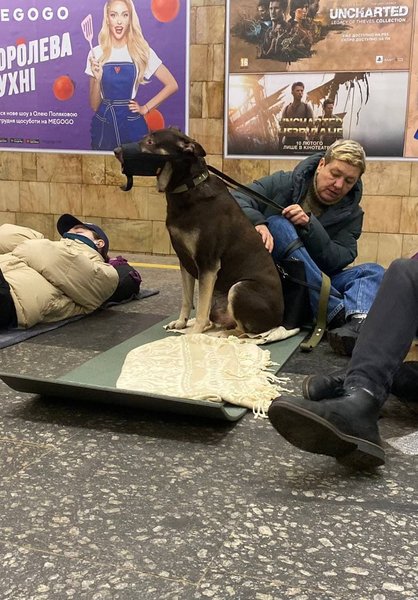 убежище в метро