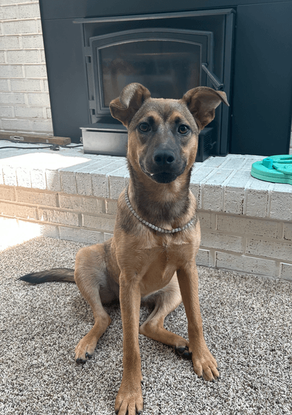 Хитрая афера, ошибка доставки, доставка, дорогая цепочка, украшение, ожерелье, 300 долларов, стал жертвой мошенников, соцсети