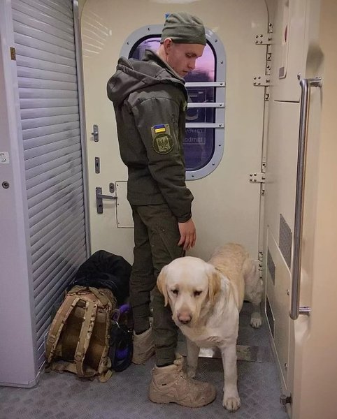Укрзализныця, животные, лабрадор, Эрми, Нацгвардия