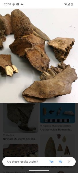 Камін, знахідка, кістки