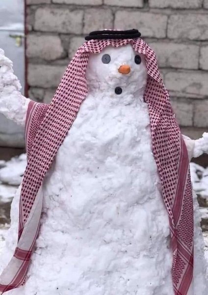 снеговик в багдаде