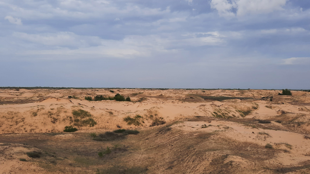 Алешковские пески, Олешковские пески, пустыня в Украине, дюны