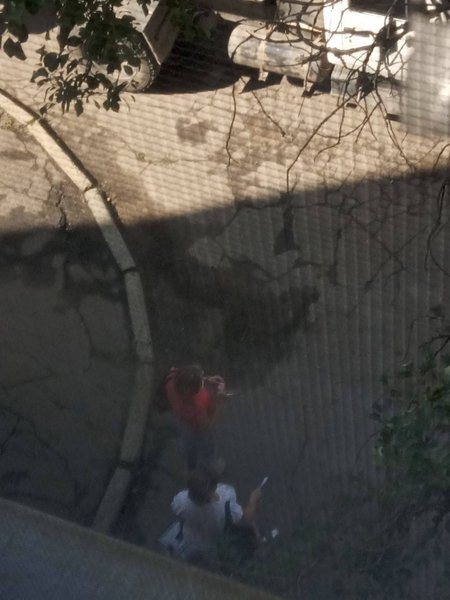 выборы геническ, выборы на оккупированных территориях, псевдовыборы, фейковые выборы, фиктивные выборы