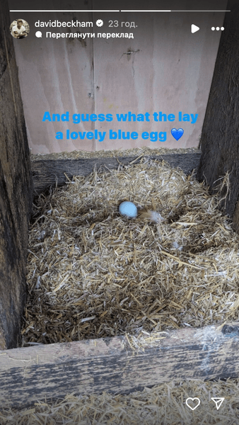 Ферма Дэвида Бекхэма