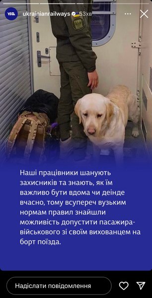 Укрзализныця, Нацгвардия, НГУ, Национальная гвардия Украины, Эрми, Эрми НГУ, Эрми Нацгвардия, Эрми собака, служебная собака