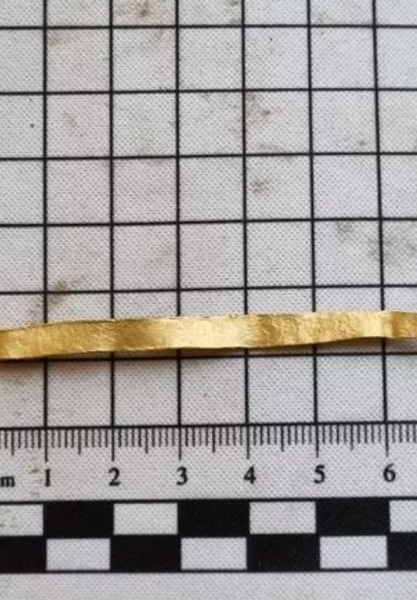 Чоловік знайшов шматок золота на підлозі й мало не викинув у смітник, знахідка, артефакт, цінні речі, реліквії