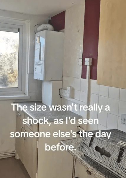 Мати 5 дітей показала, куди її з родиною пересилила місцева влада, історії з життя, нерухомість, оренда, житло