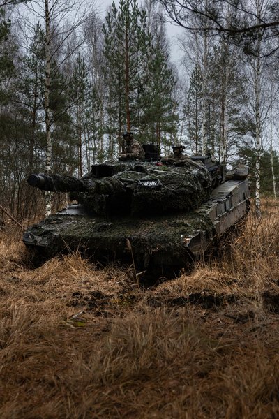 нато войска, миротворцы, миротворцы в Украине