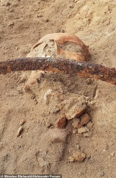 Скелет, серп, Пьен, вампиры, вампирка, убить вампира, захоронение вампира, могила вампира, польский вампир, женщина вампир, Могила вампира в Польше