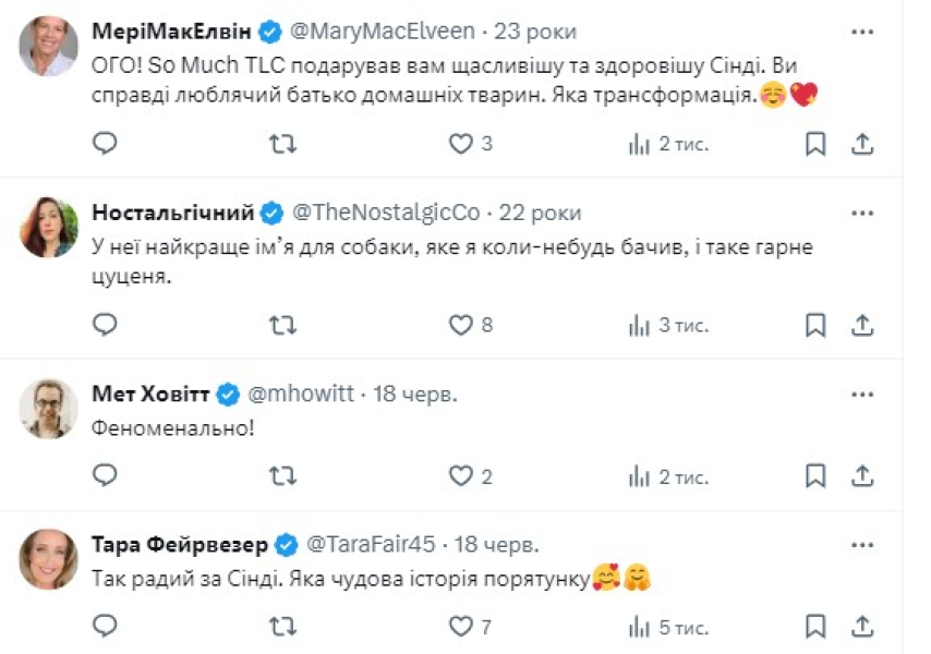 подяка за порятунок пса з Таїланду Порятунок собак, порятунок тварин, зоозахисник, лікування собаки