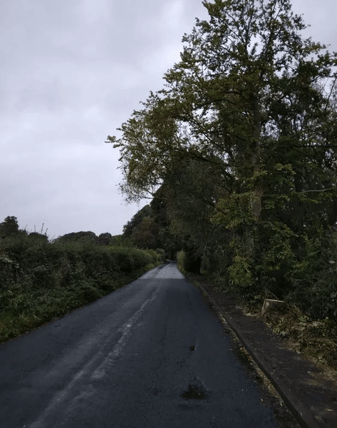 Дорога в британском городе, дорога, призрак, призрак на дороге, истории о призраках, исчезла машина, Riveacre Road, необычный случай